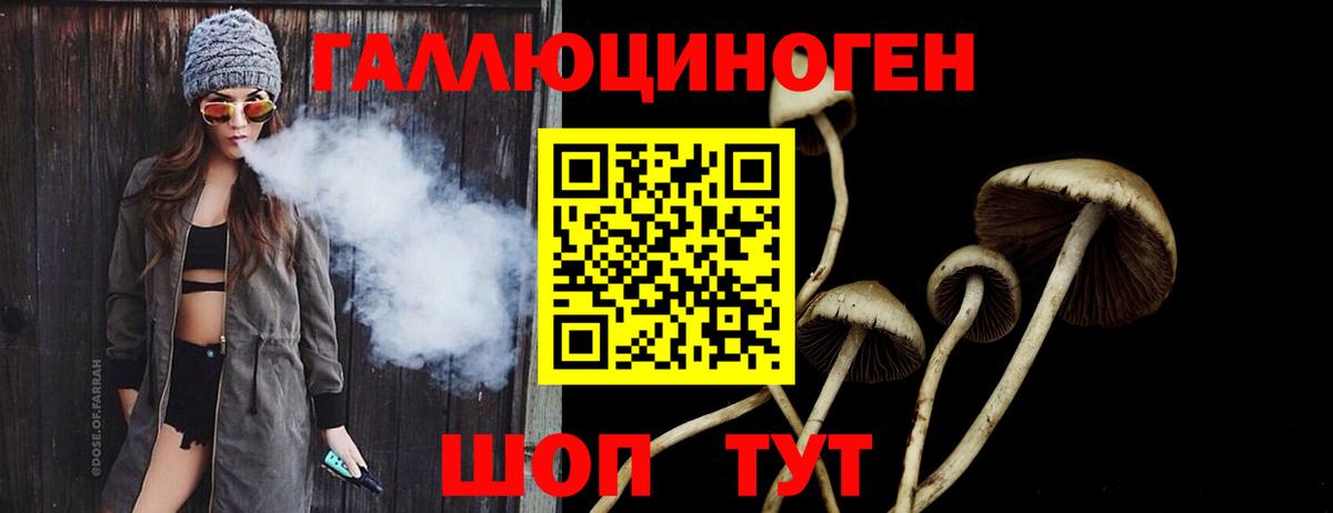 Псилоцибиновые грибы Psilocybe  Вход с VPN  Павлово 